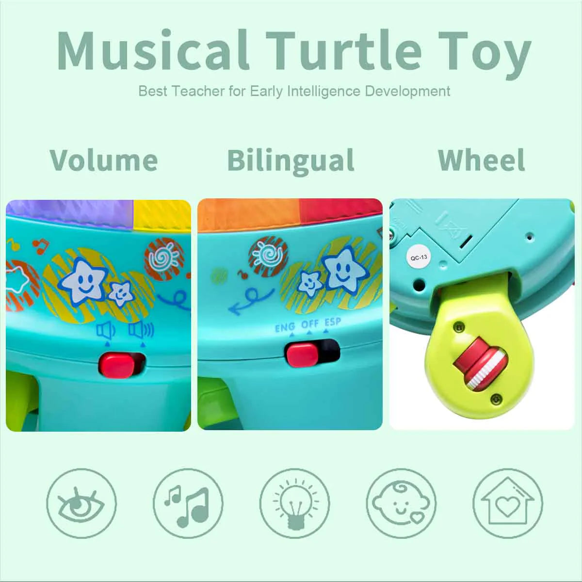 Musical Turtle