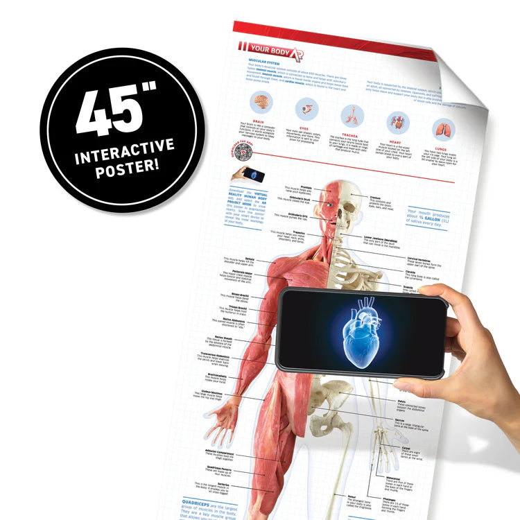 VR Discovery Box Human Body