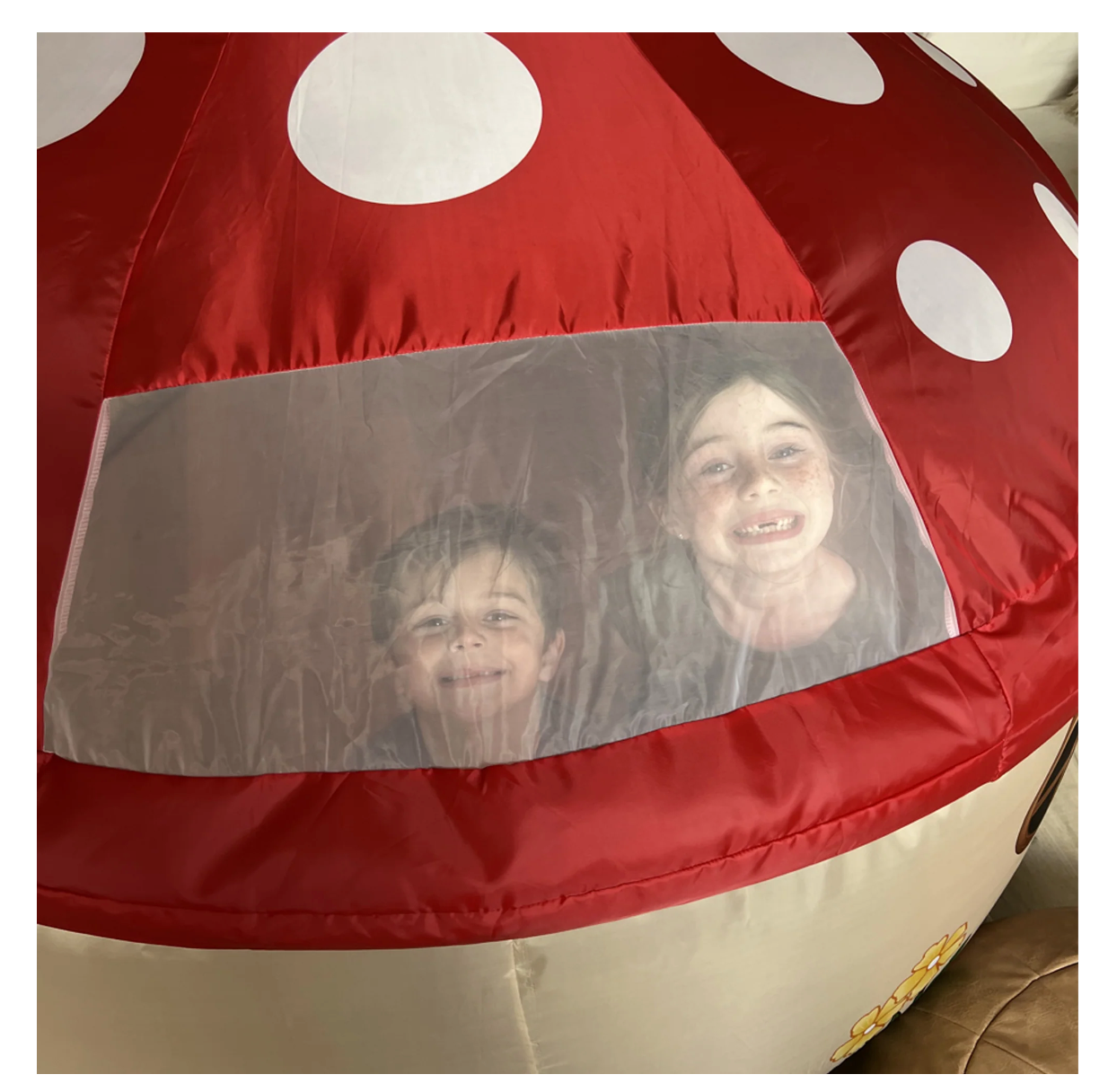 AirFort Mushroom House