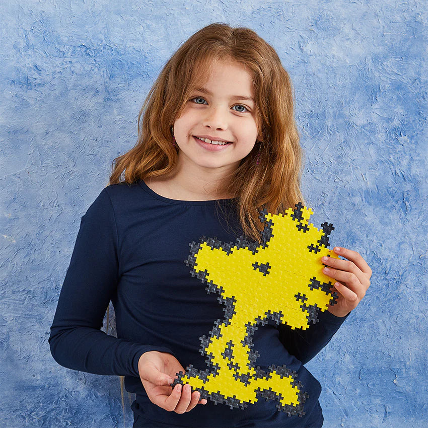 Woodstock 275 pc Puzzle By Number