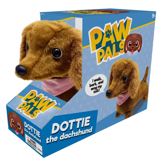 Dottie Walking Dachshund