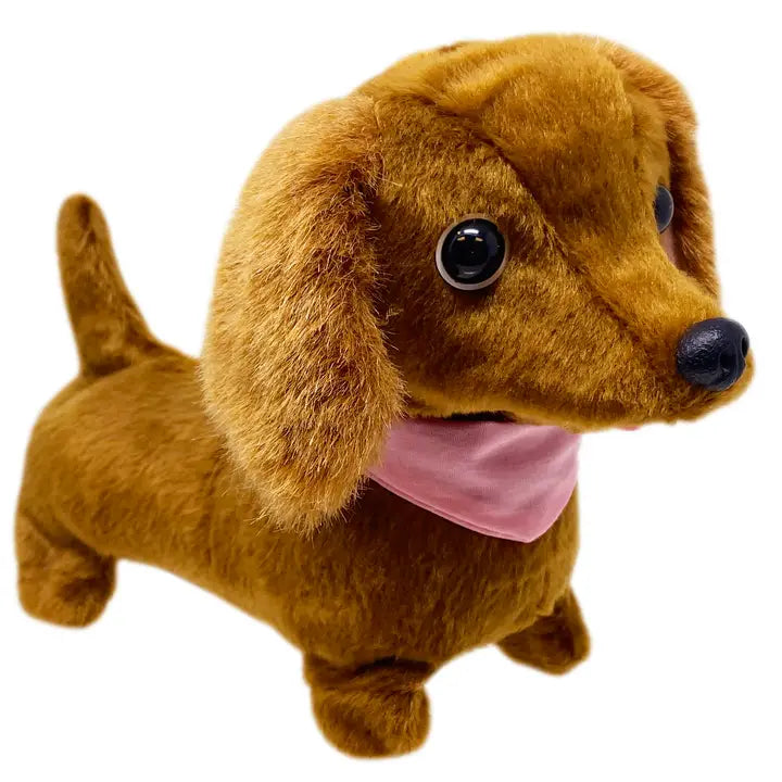 Dottie Walking Dachshund