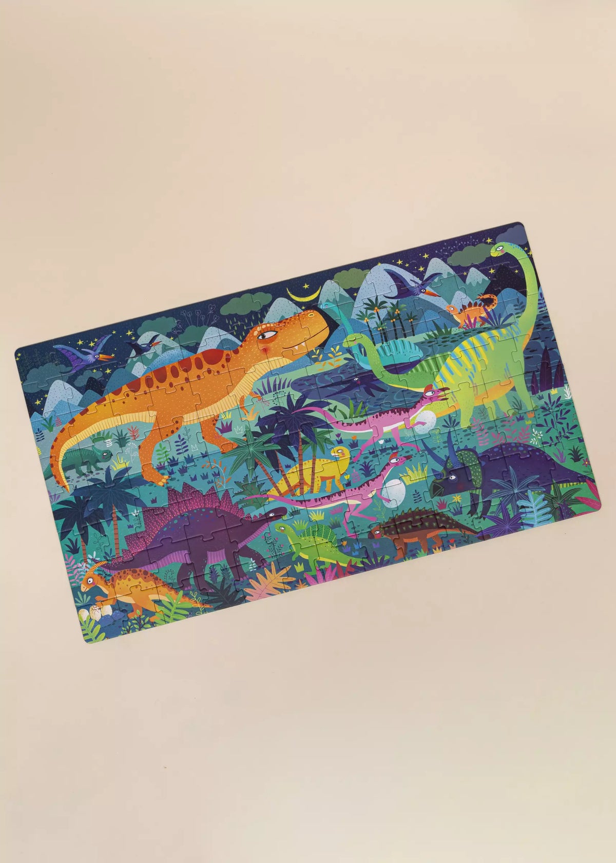 Dinosaur Age Puzzle