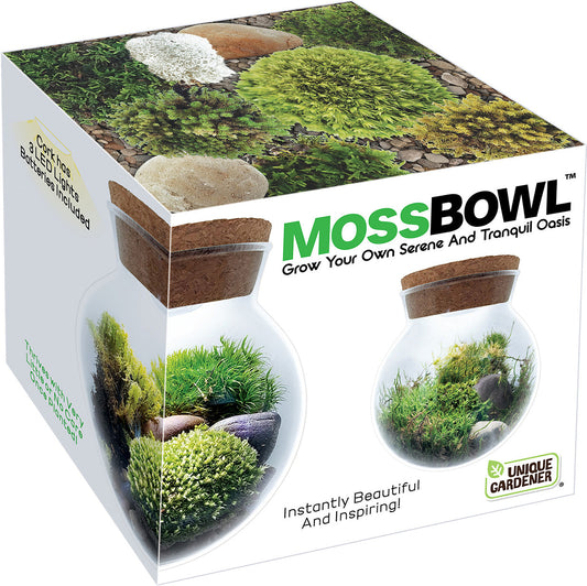 MossBowl Grow Your Own Oasis