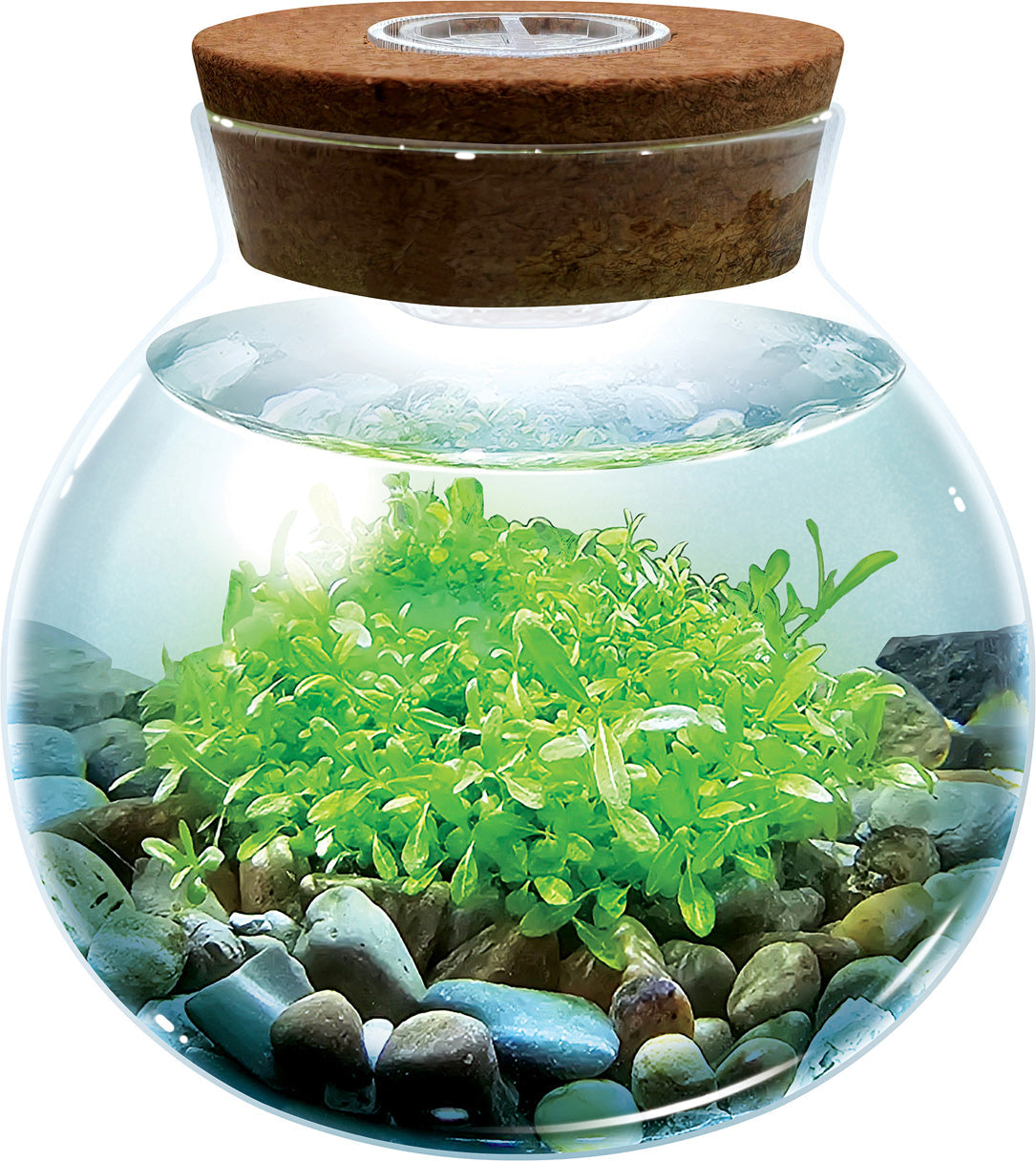 WaterPlants Create Your Own Aquascape