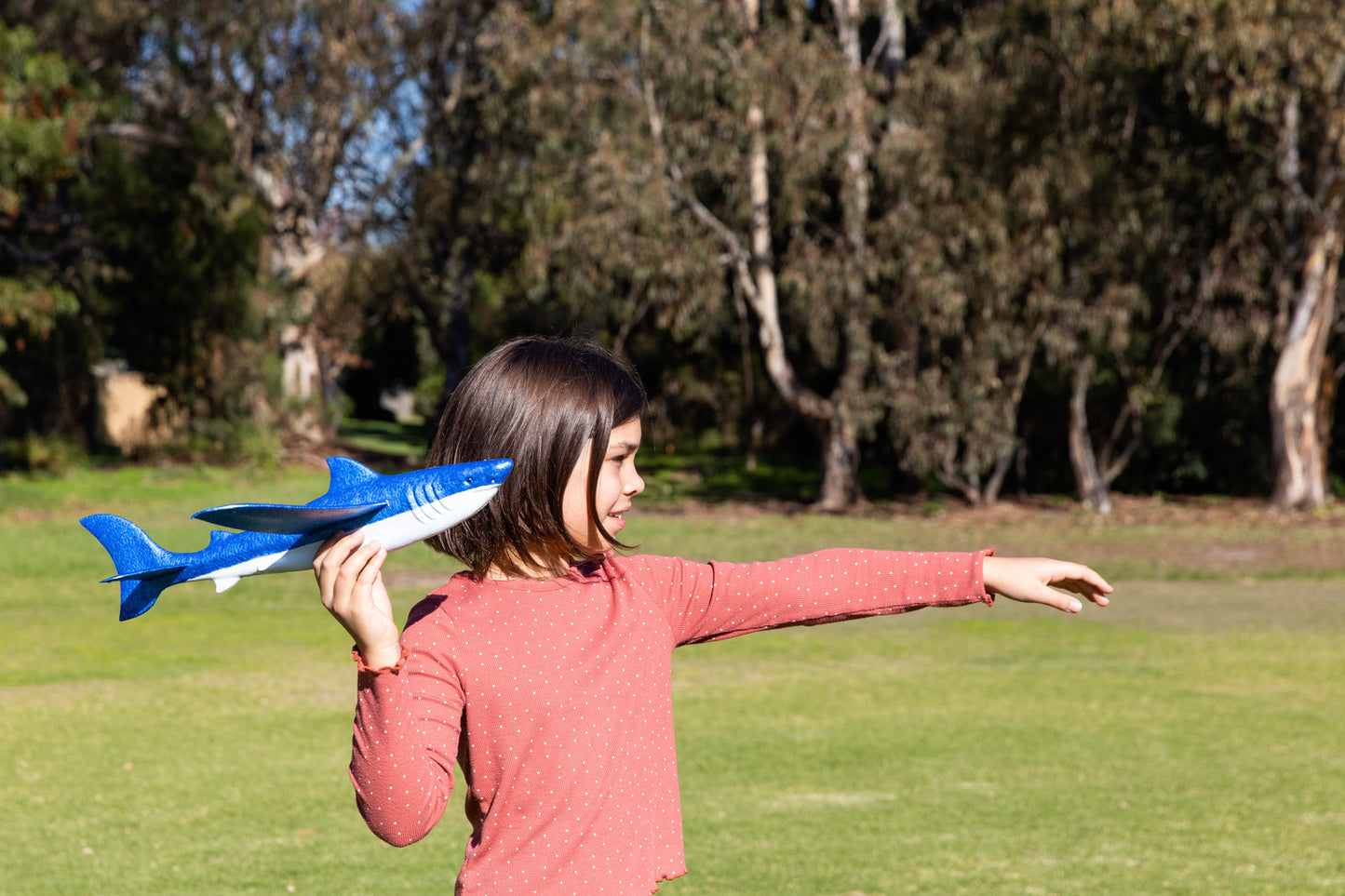 Shark Glider