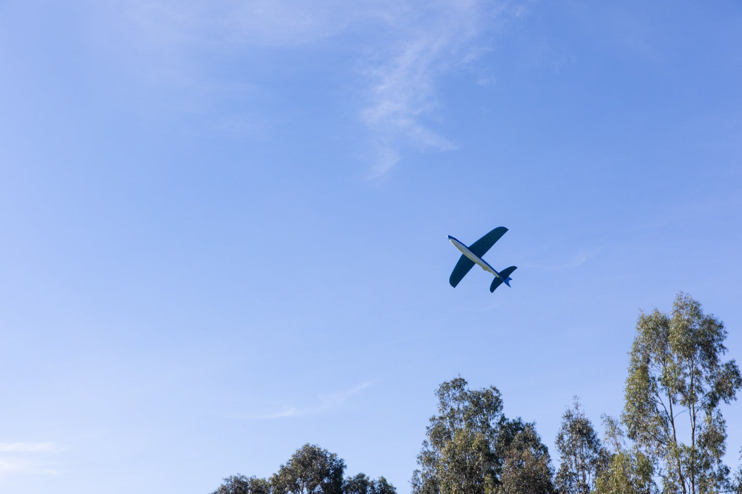 Shark Glider