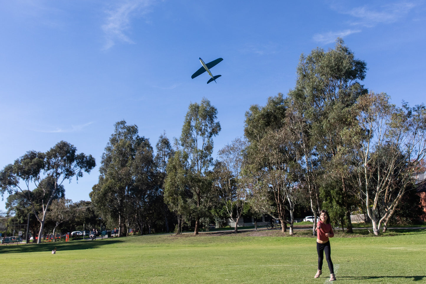 Shark Glider