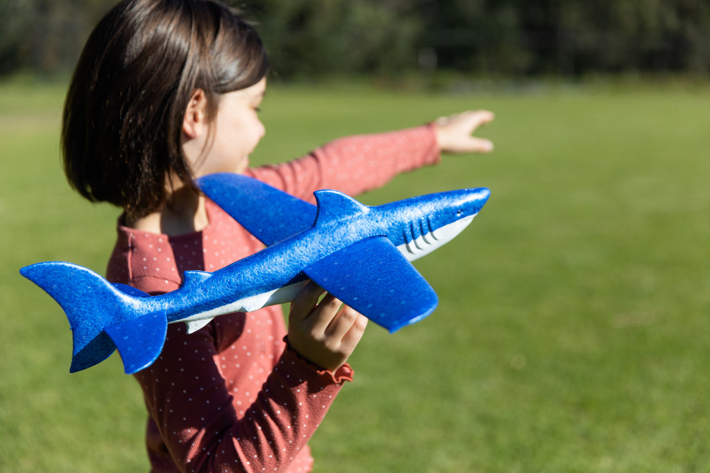 Shark Glider
