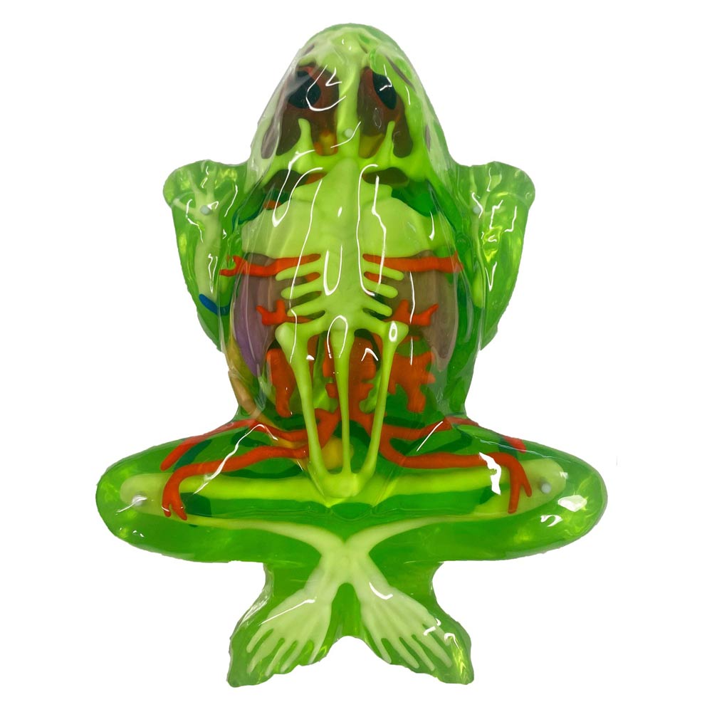 Dissect-It Frog Super Lab