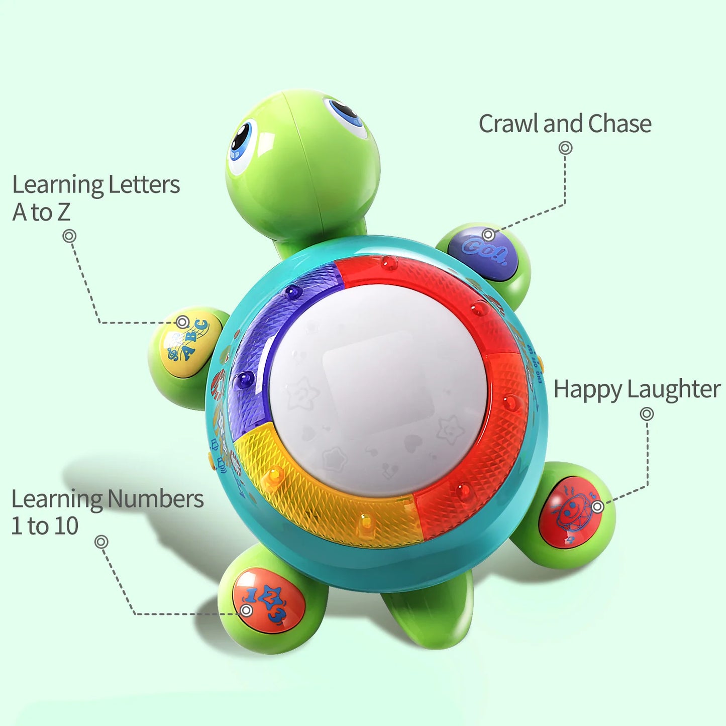 Musical Turtle