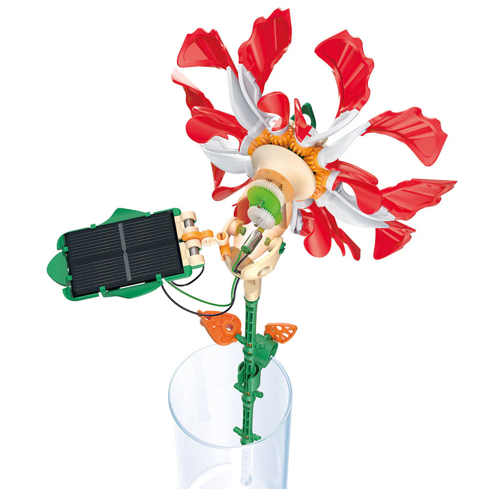 Ruby Rippie SolarFlower Ruby Ripple – Olde Tyme Commissary