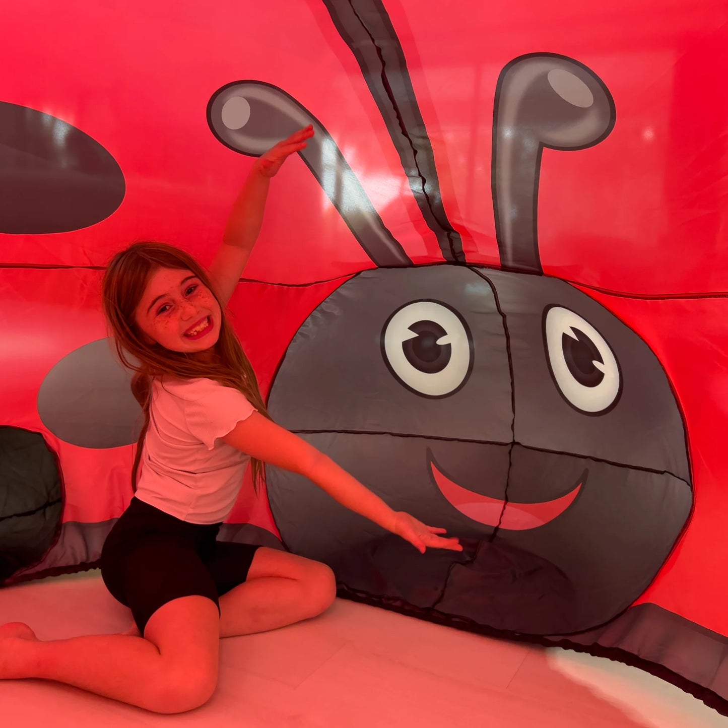 AirFort Ladybug