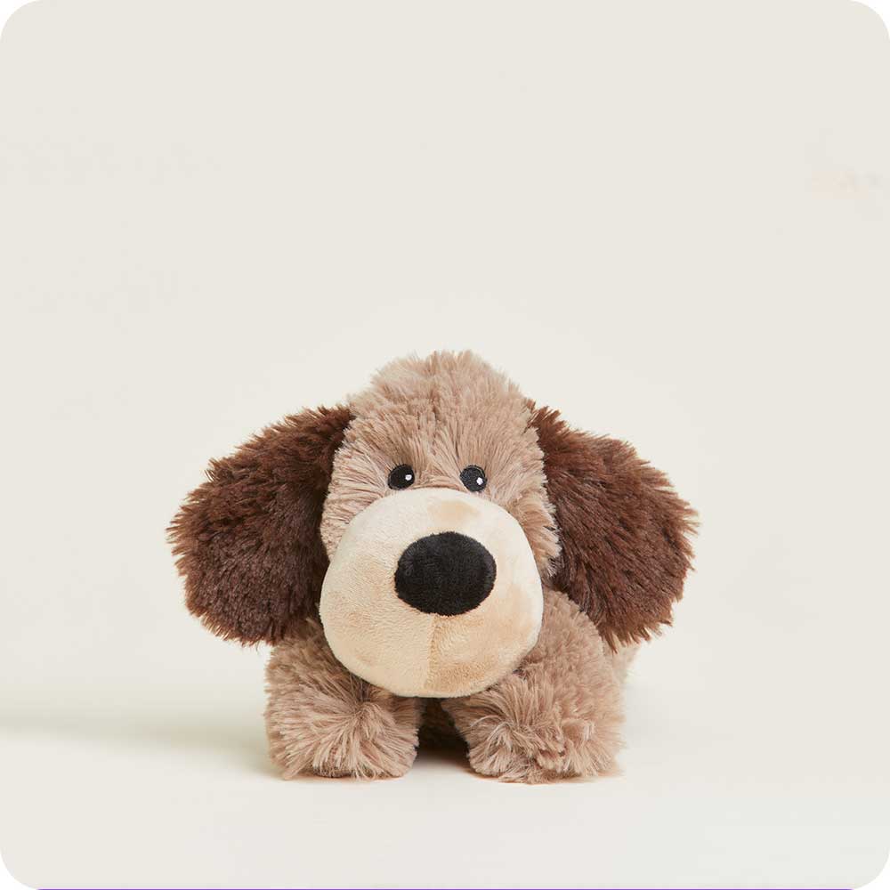 Brown Dog Warmies