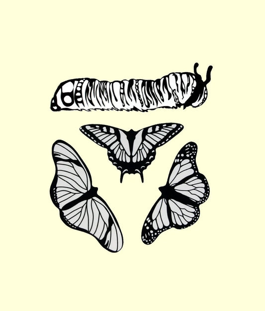 Butterfly Friends Windowscape Art Kit