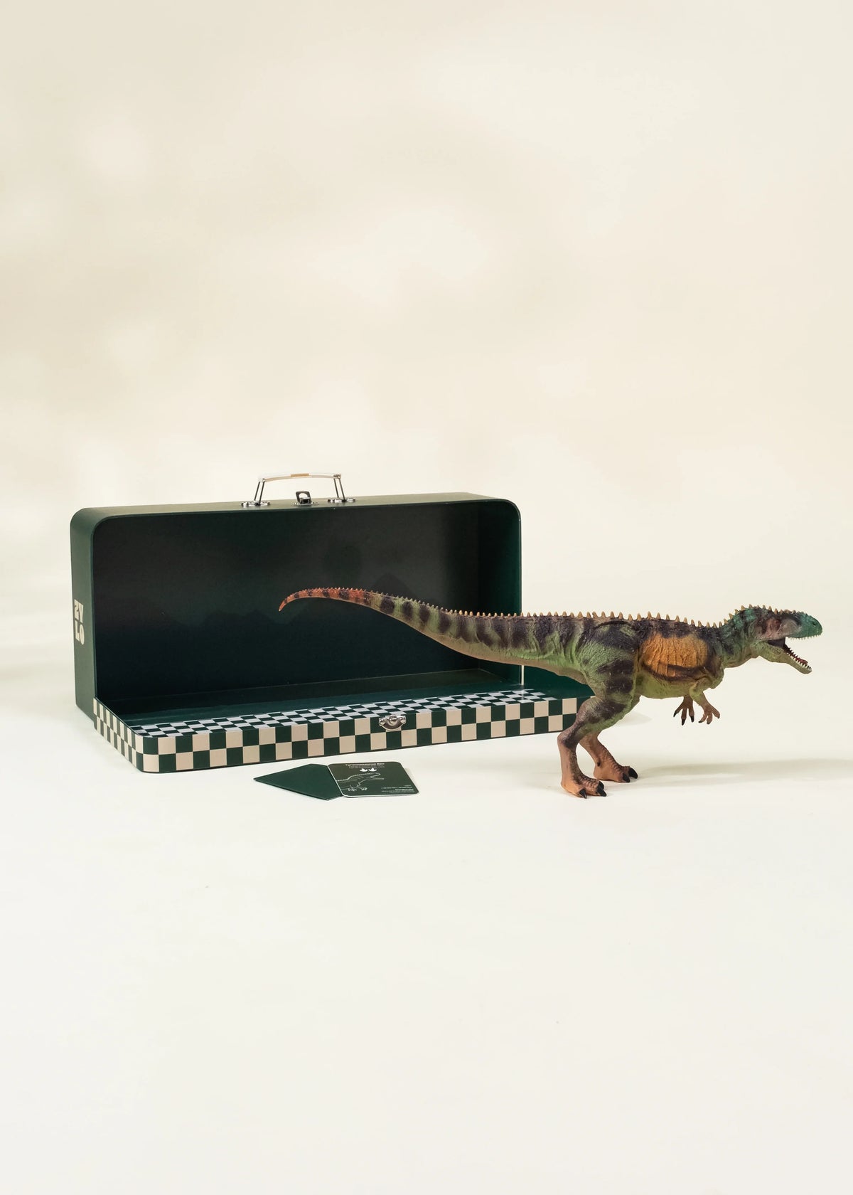 Tyrannosaurus Rex Dinosaur in a Box