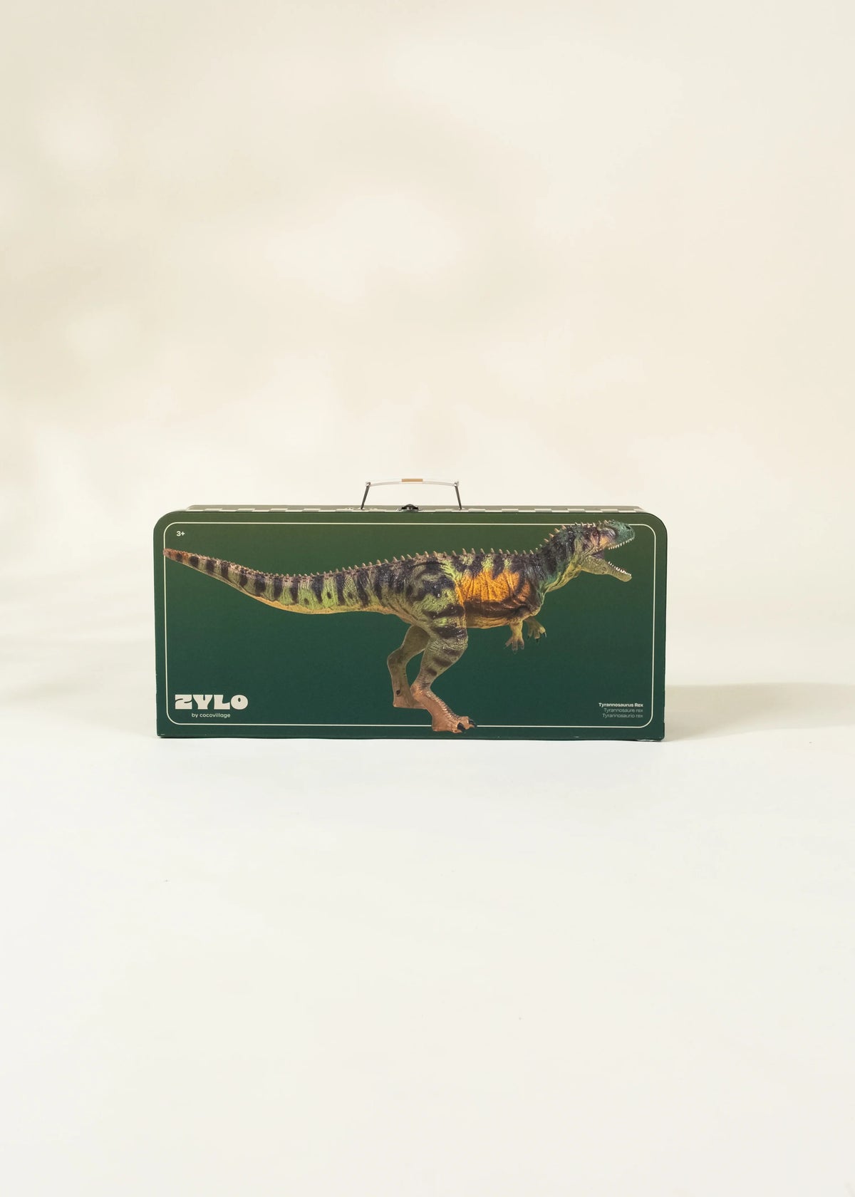 Tyrannosaurus Rex Dinosaur in a Box