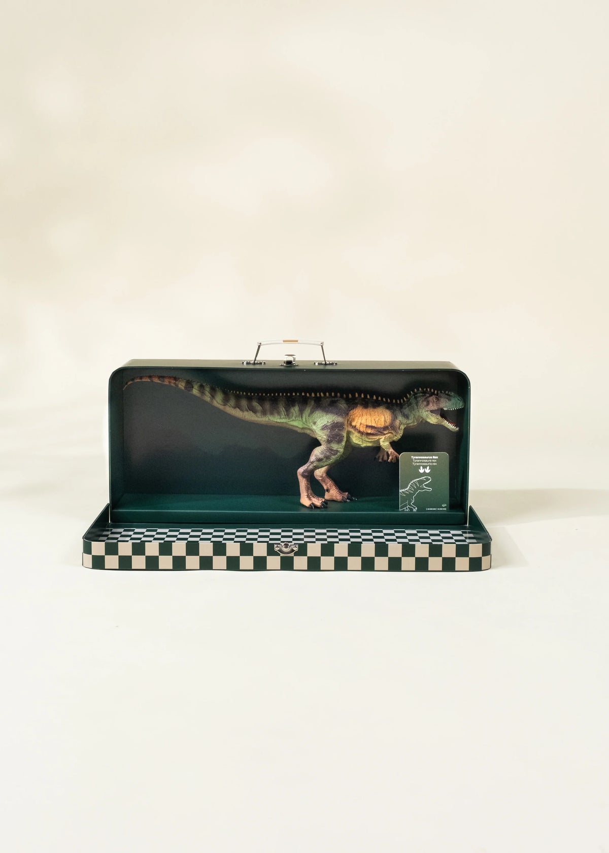 Tyrannosaurus Rex Dinosaur in a Box
