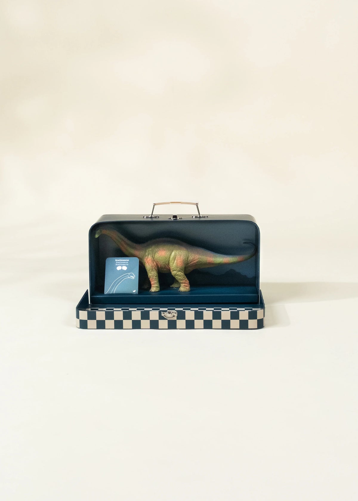 Brachiosaurus Dinosaur in a Box