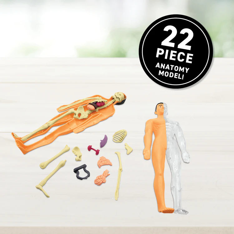 VR Discovery Box Human Body