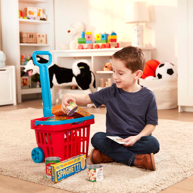 Grocery Basket with Rollers