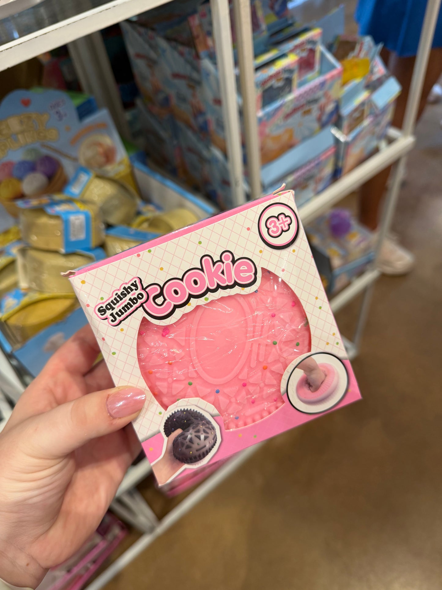 Jumbo Cookie Squishy