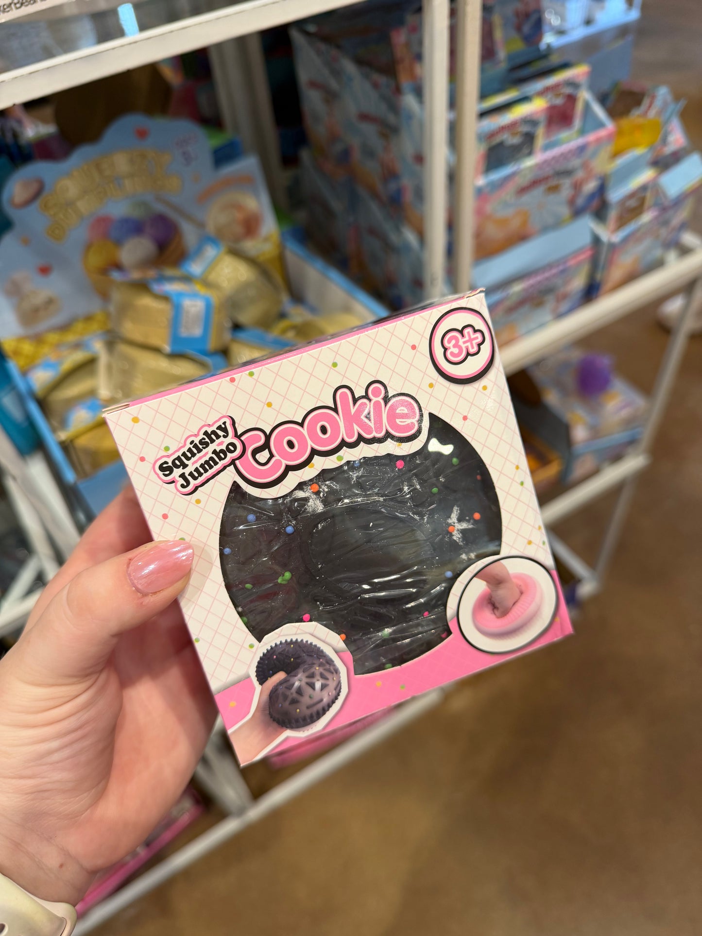 Jumbo Cookie Squishy