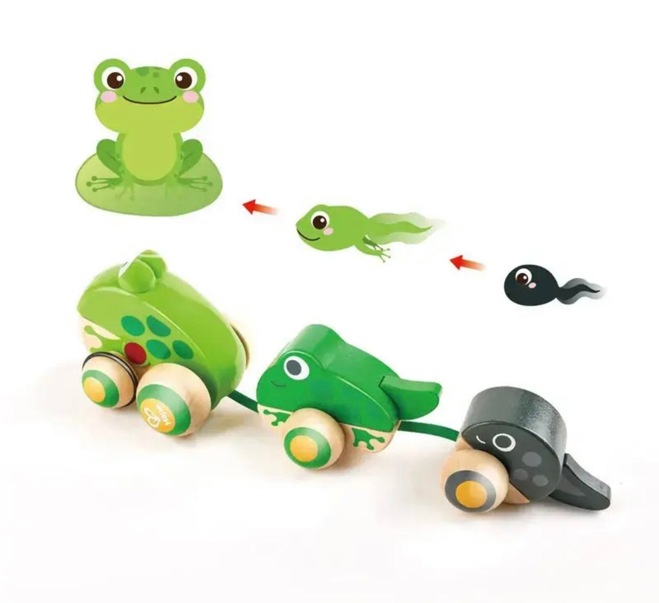 Pull Along Frog Family