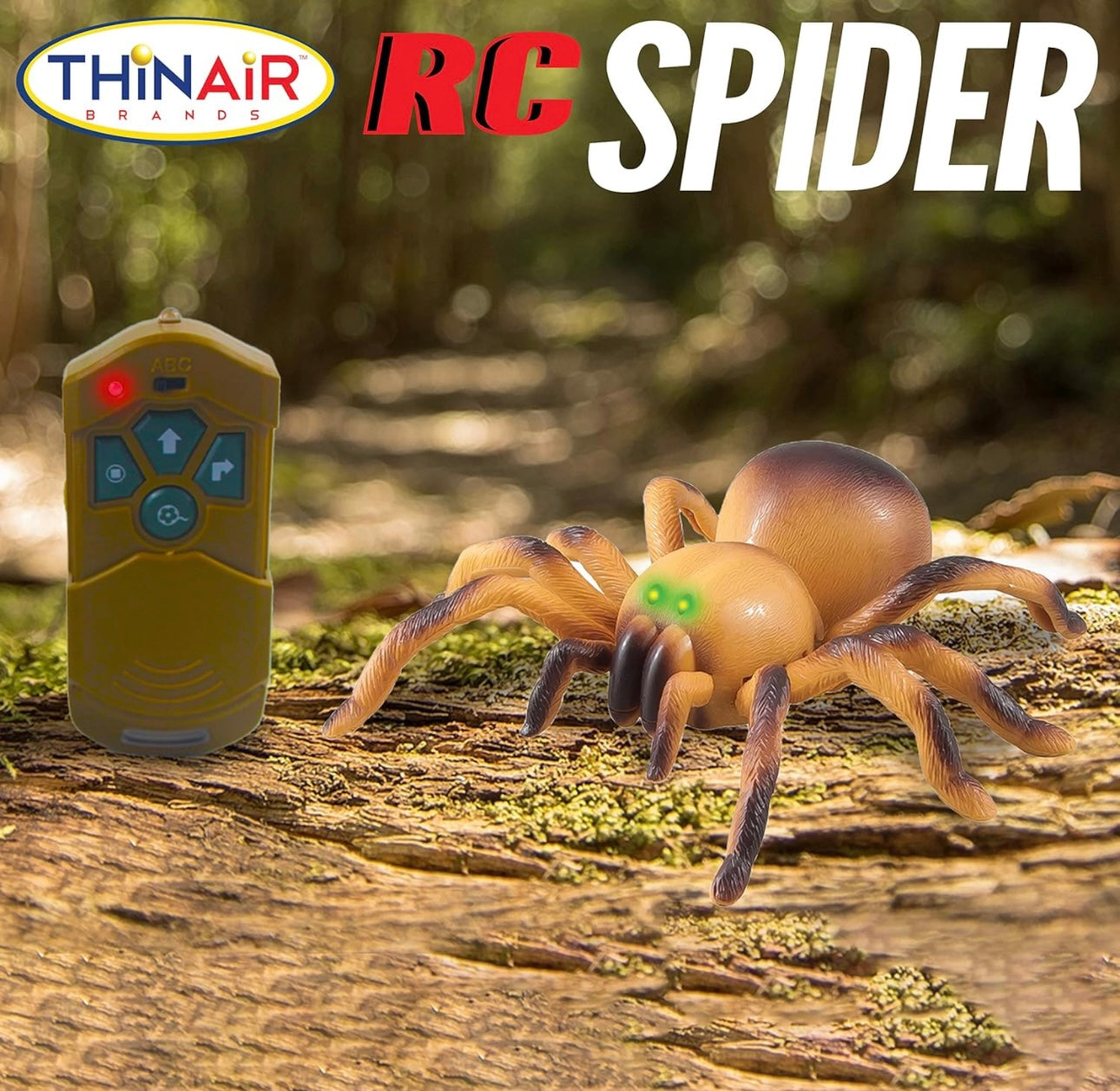 RC Spider