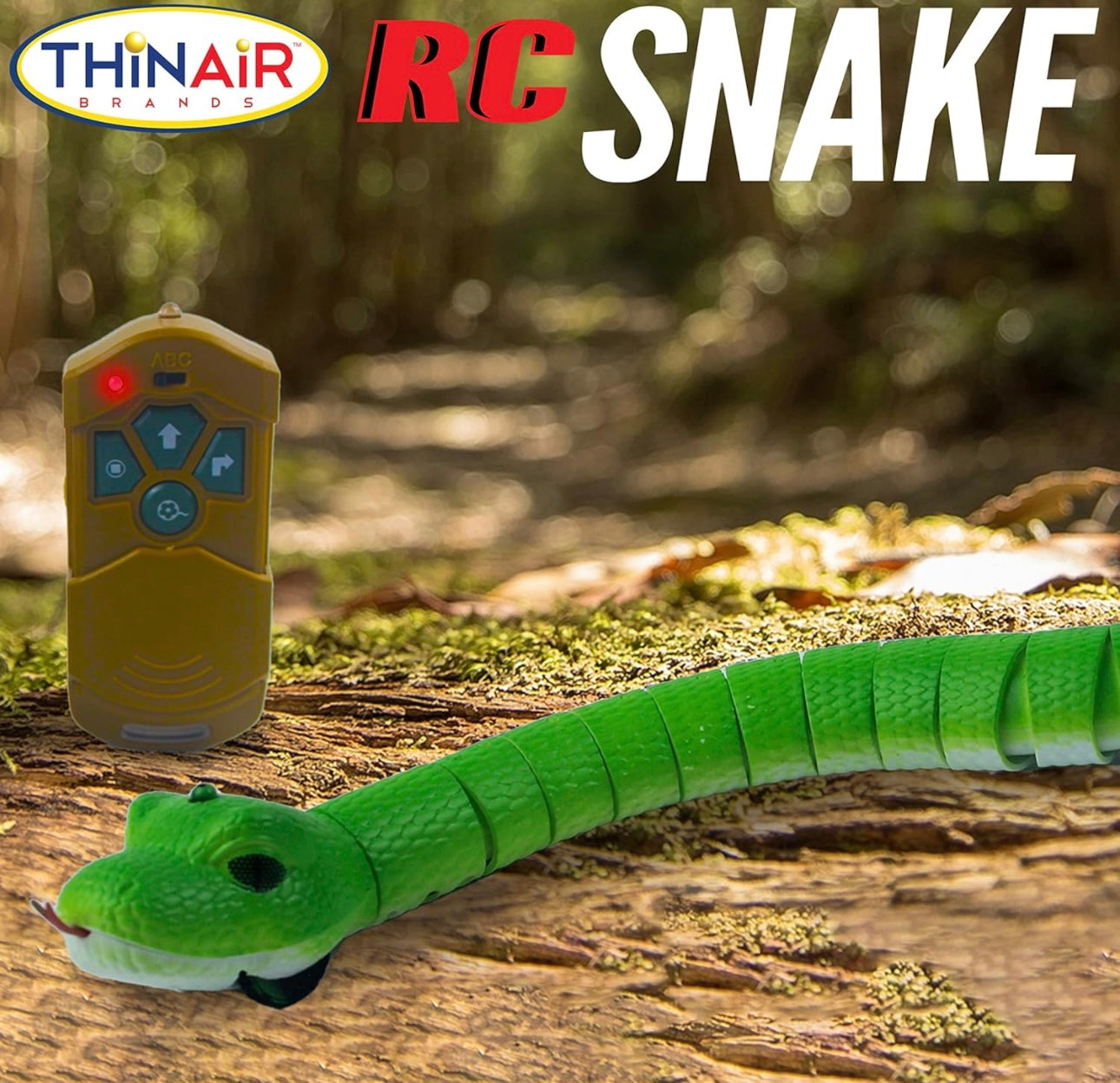 RC Snake