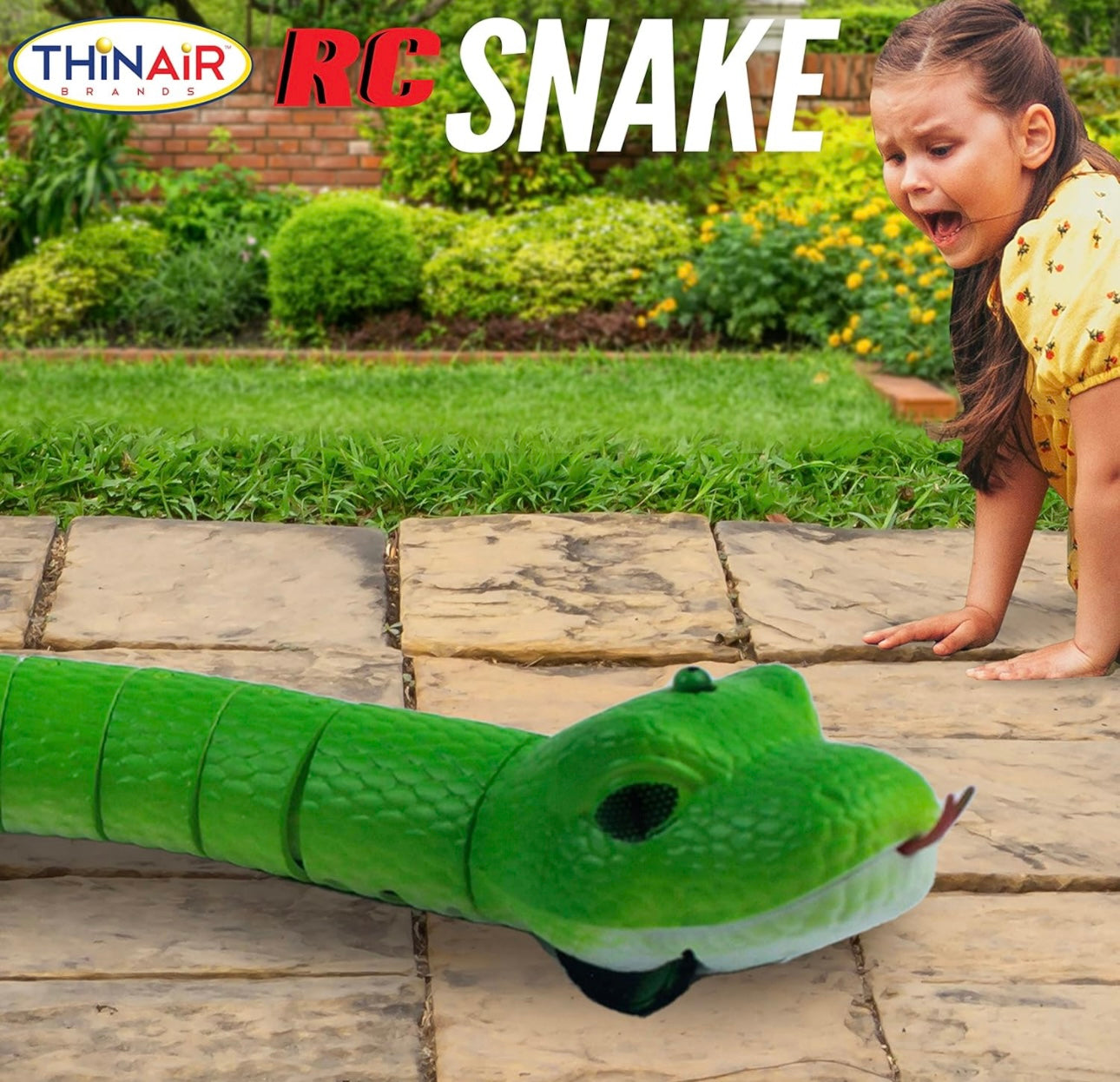 RC Snake