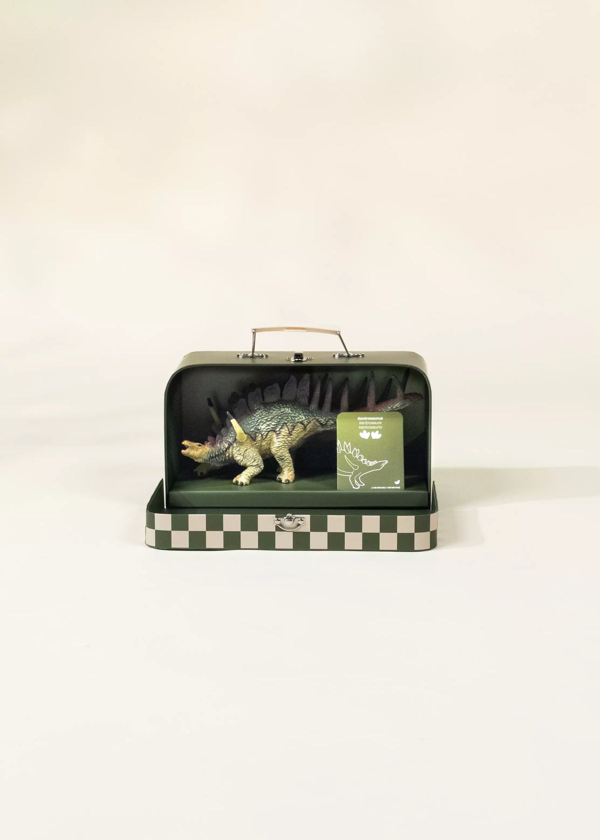 Kentrosaurus Dinosaur in a Box