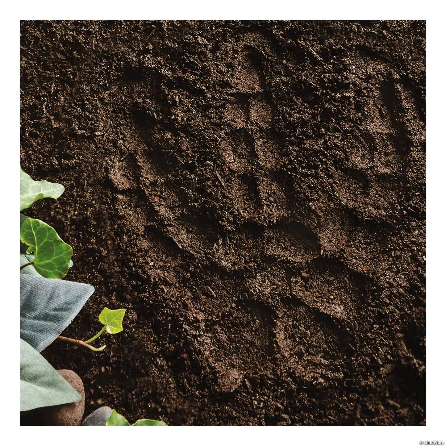 PYO Dinosaur Stepping Stone