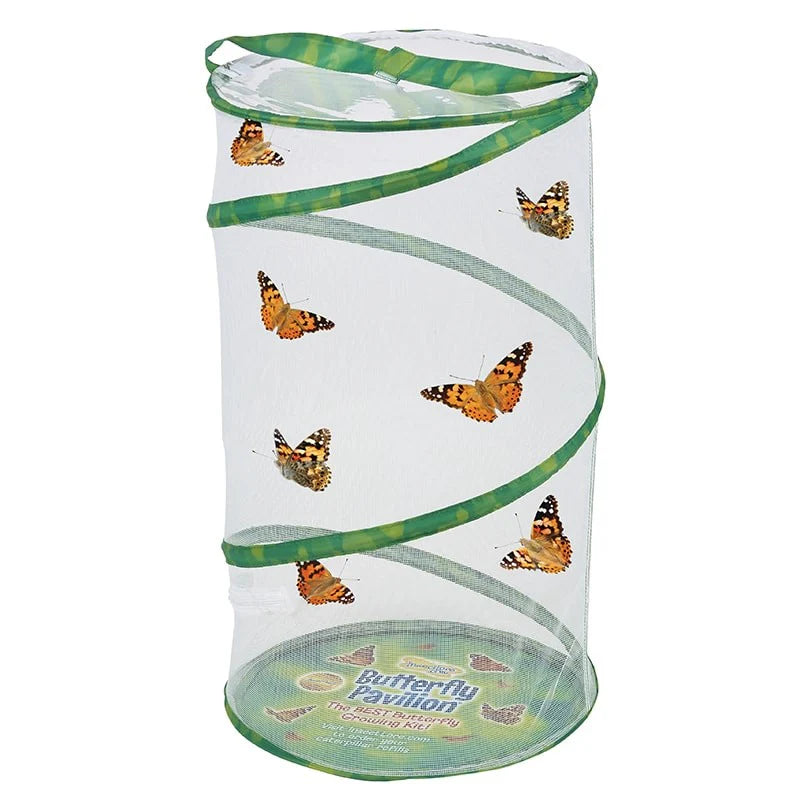 Butterfly Pavilion Growing Kit