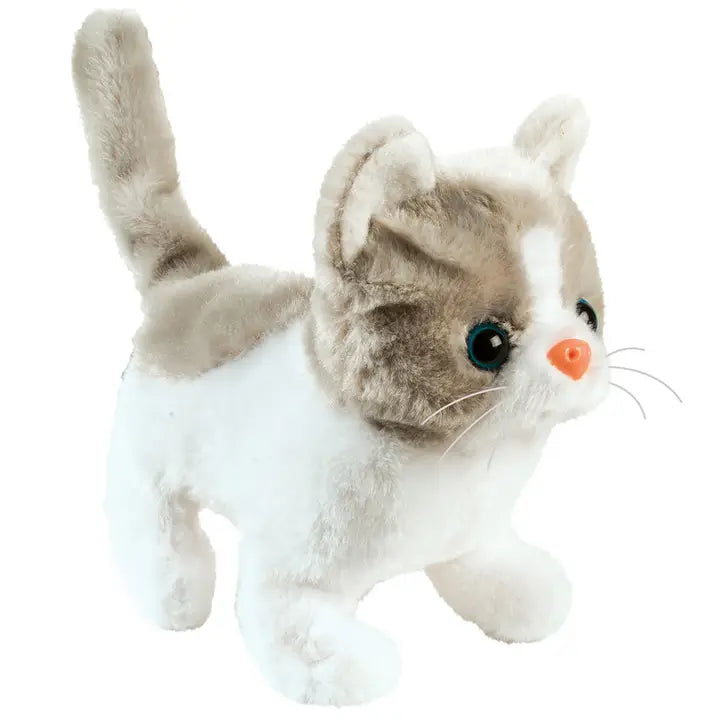 Cloud Walking Kitten