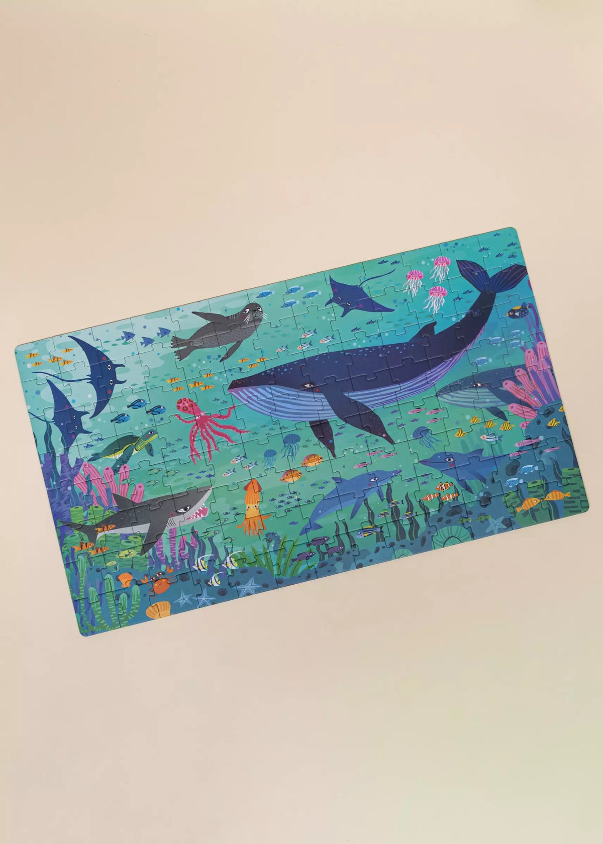 Ocean Discovery Puzzle