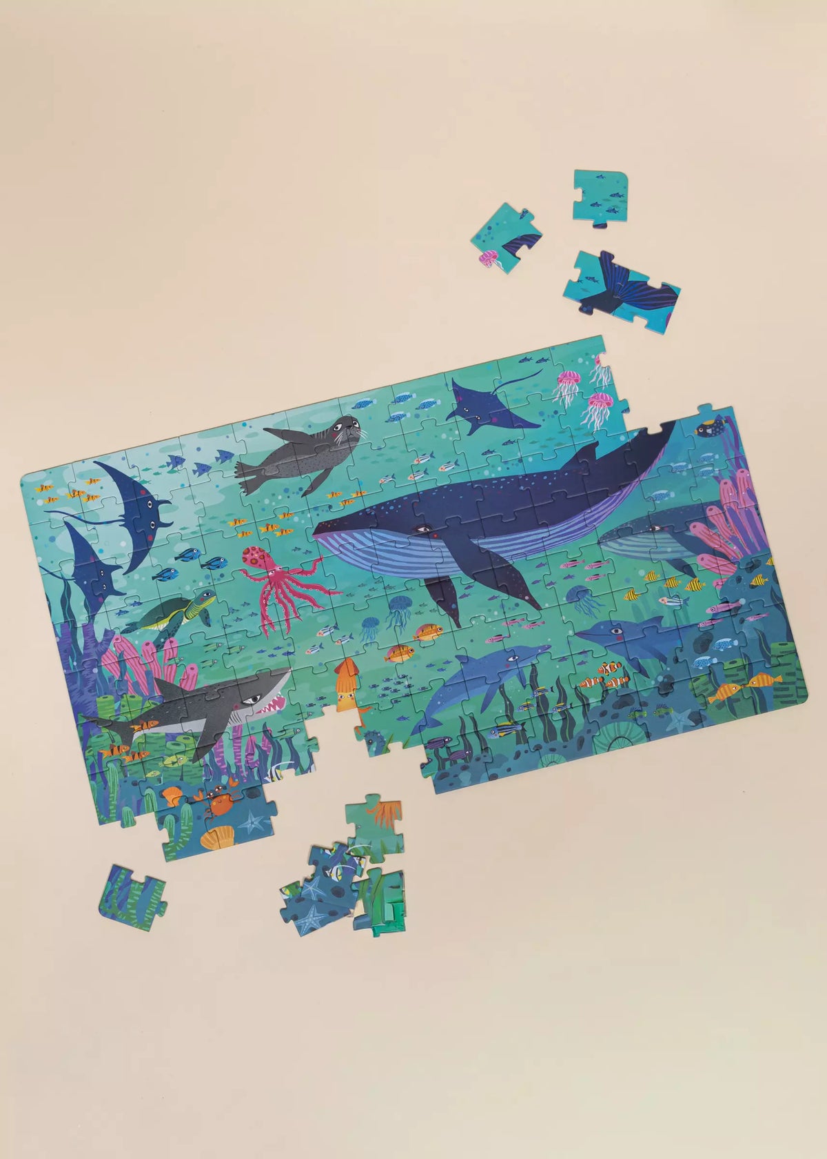 Ocean Discovery Puzzle