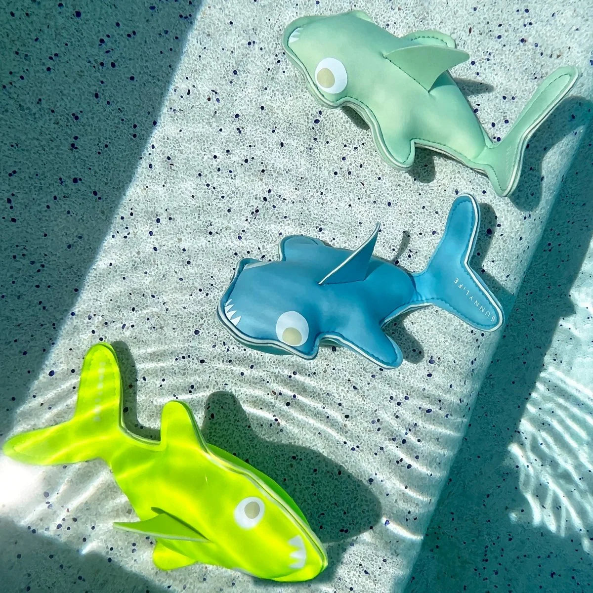 Shark Dive Buddies