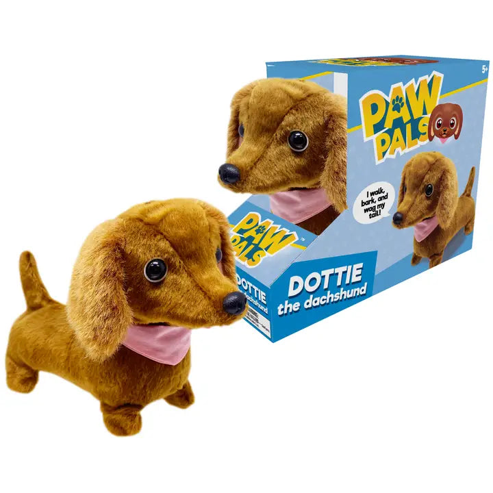 Dottie Walking Dachshund