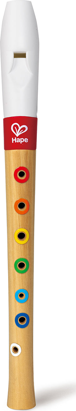 Mini Musician's Recorder