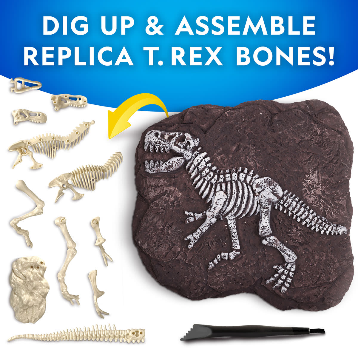 National Geographic T-Rex Dig Kit