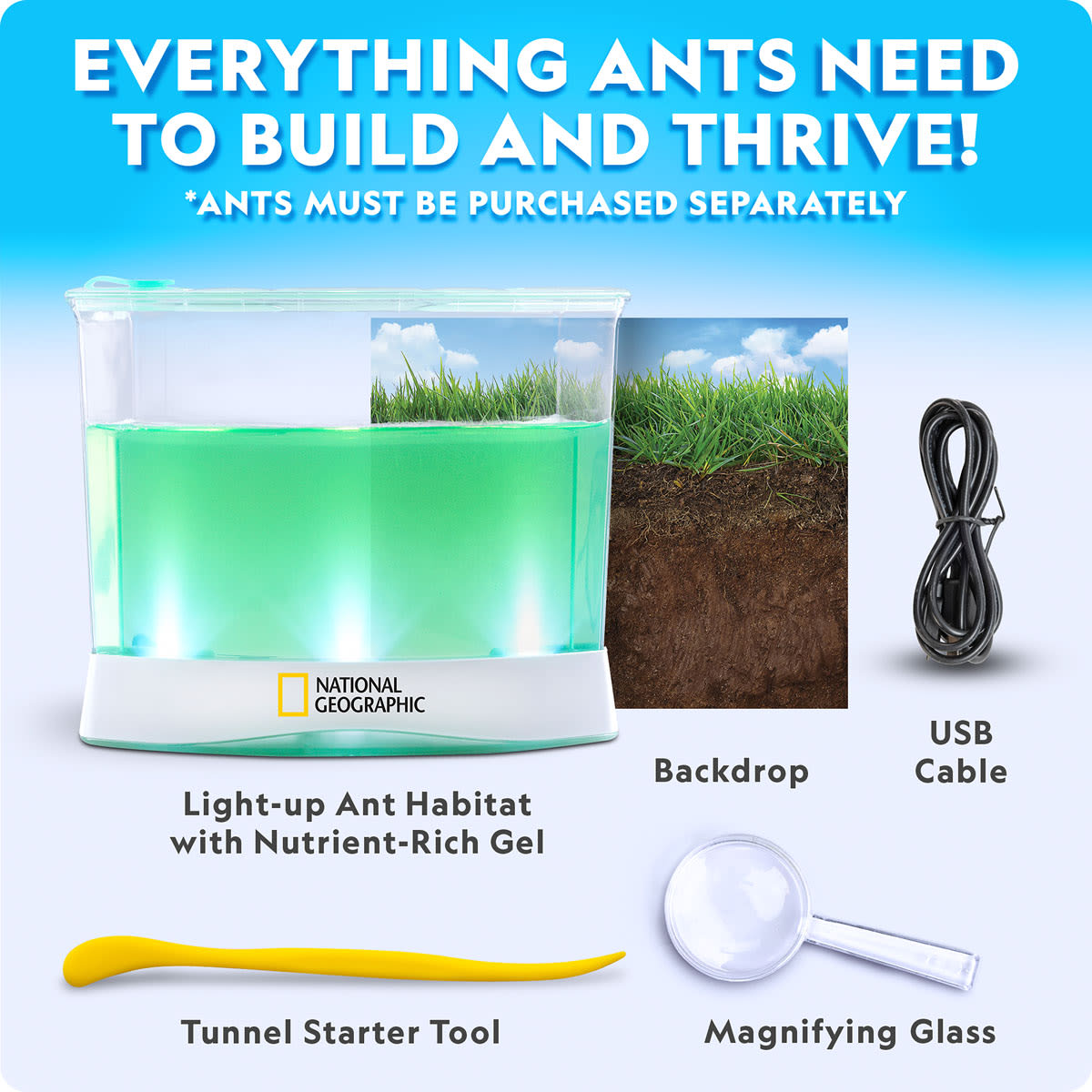 National Geographic Light up Ant Habitat