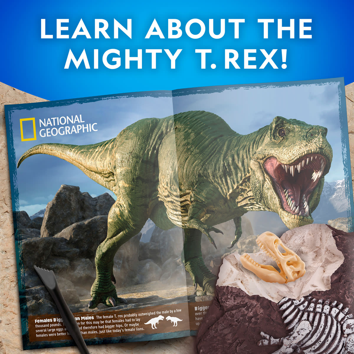 National Geographic T-Rex Dig Kit