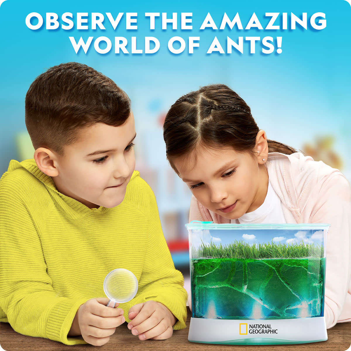 National Geographic Light up Ant Habitat
