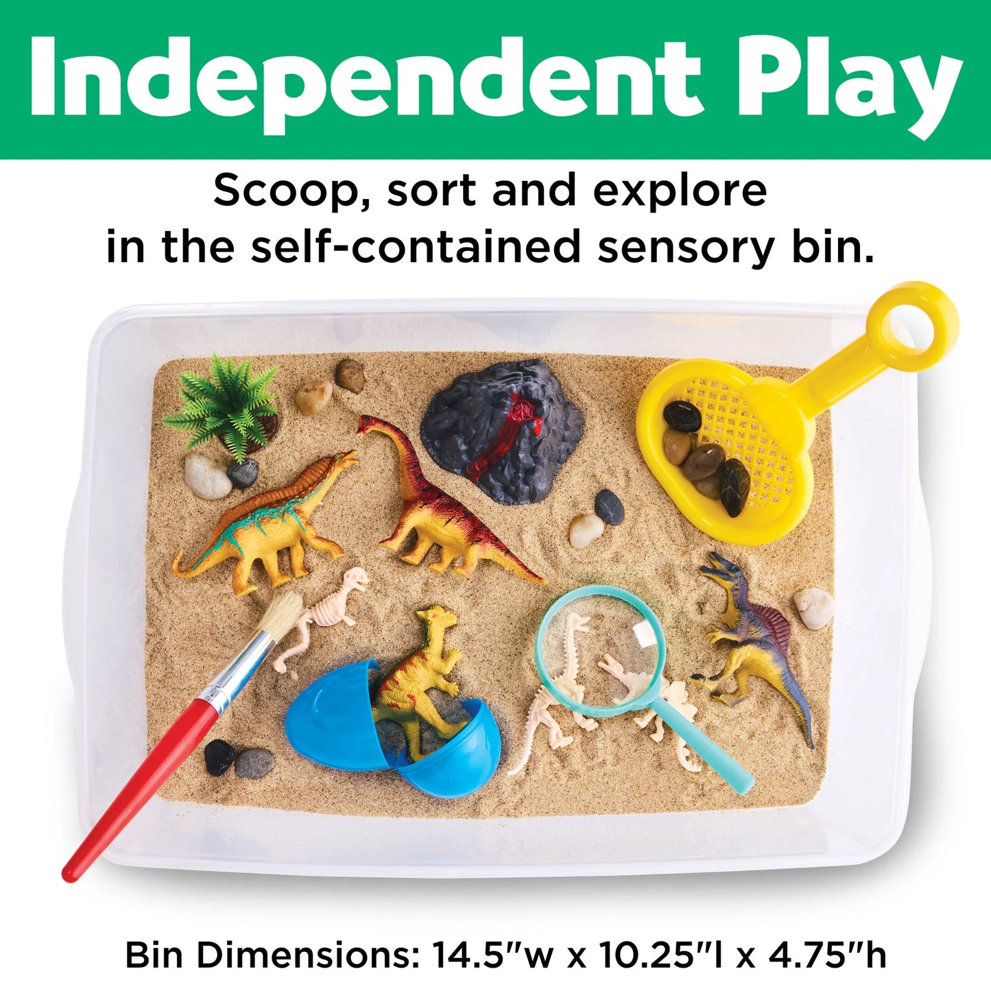 Dinosaur Sensory Bin