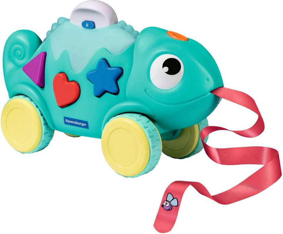 Color & Shape Sorter Chameleon