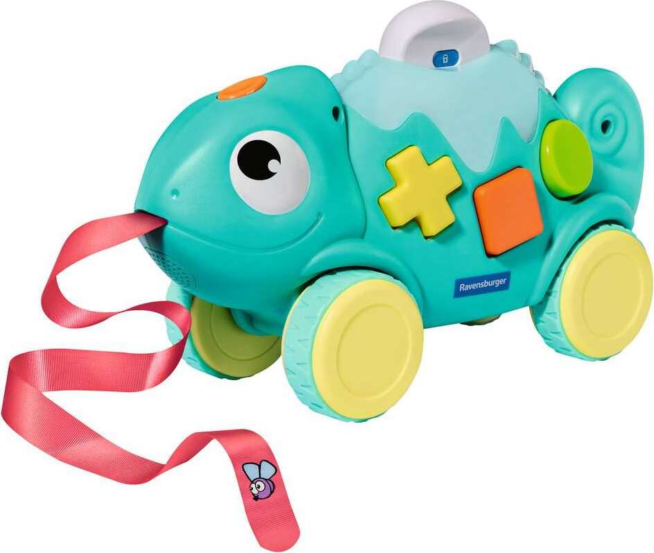 Color & Shape Sorter Chameleon