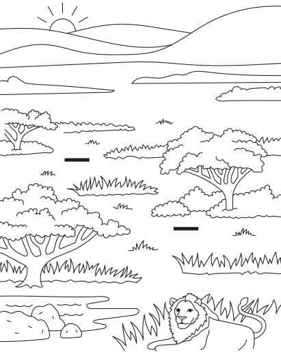 Snap & Draw