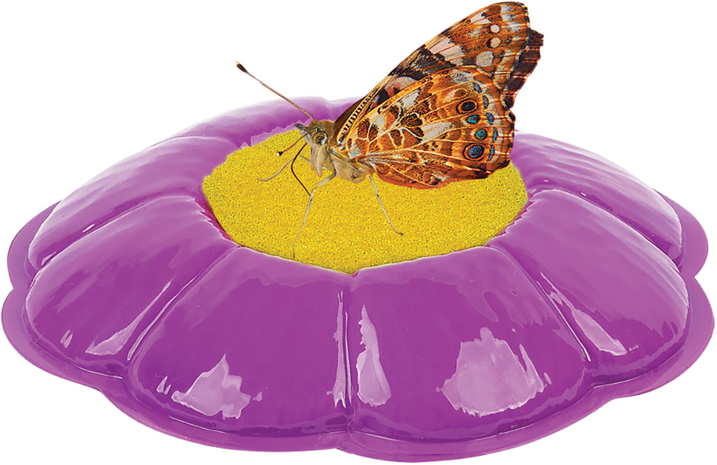 Butterfly Garden Growing Kit