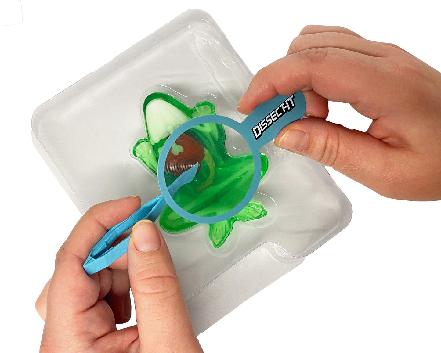 Dissect-It Labs Mini